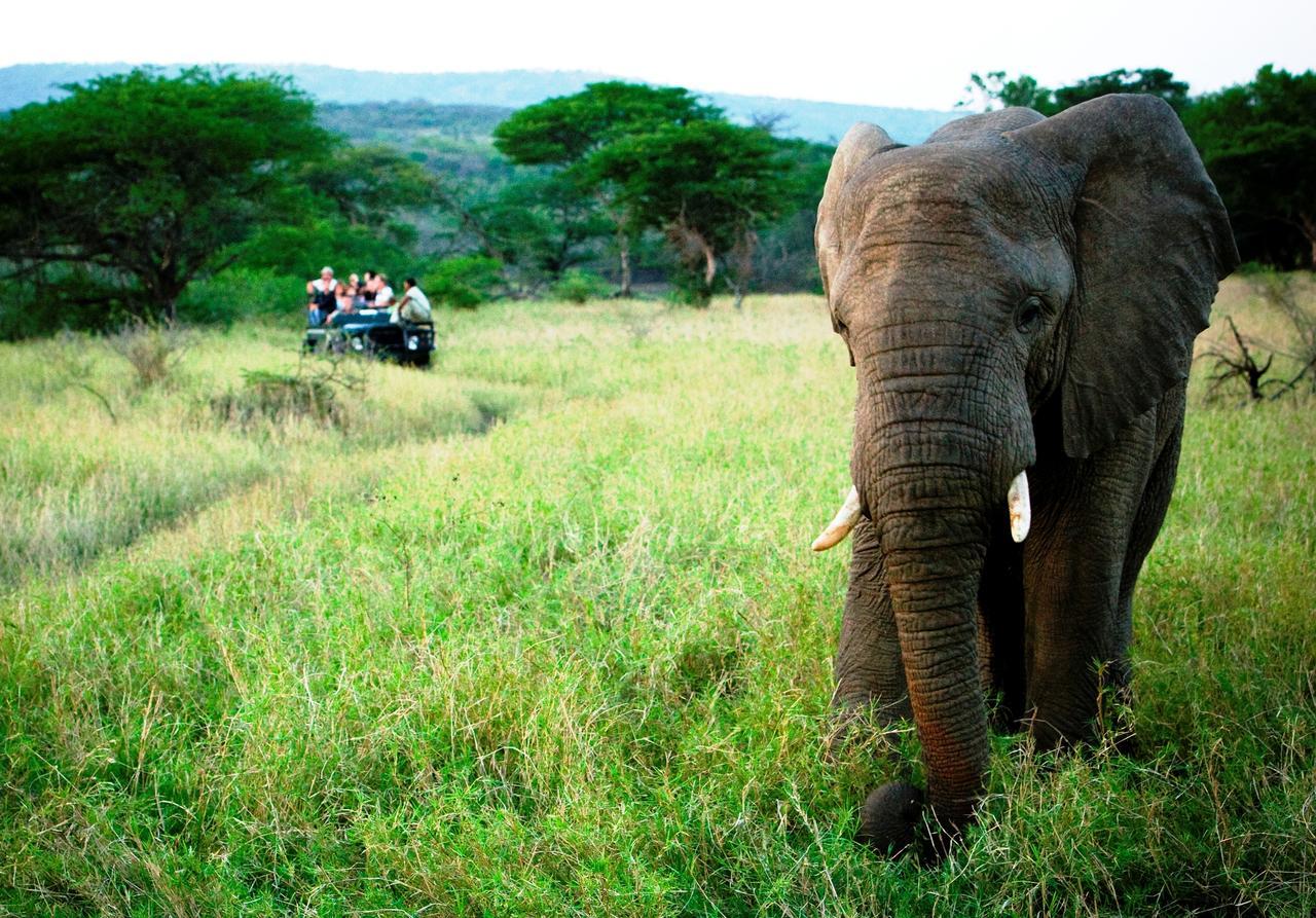 Thula Thula Exclusive Private Game Reserve & Lodge Ntambanana Екстер'єр фото