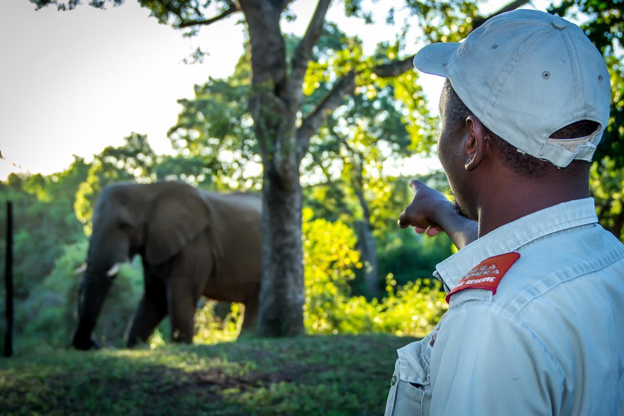 Thula Thula Exclusive Private Game Reserve & Lodge Ntambanana Екстер'єр фото