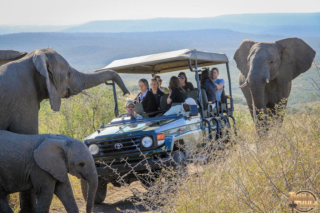 Thula Thula Exclusive Private Game Reserve & Lodge Ntambanana Екстер'єр фото