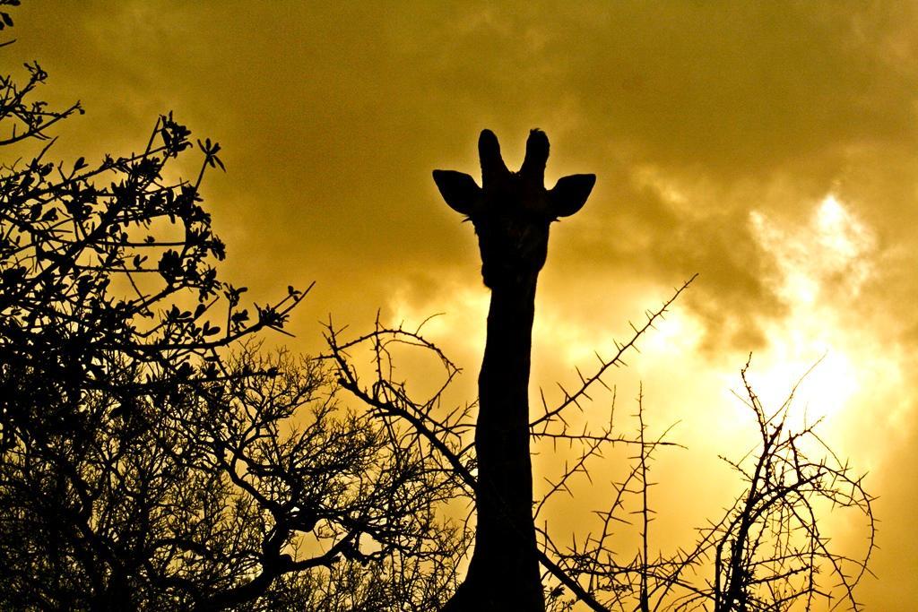 Thula Thula Exclusive Private Game Reserve & Lodge Ntambanana Екстер'єр фото