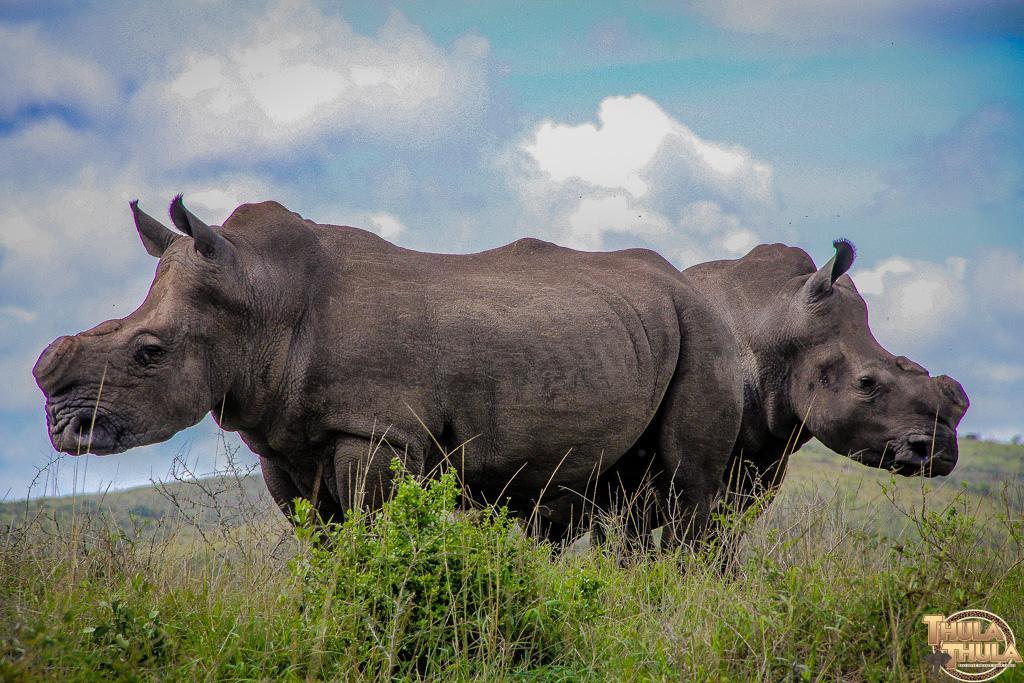 Thula Thula Exclusive Private Game Reserve & Lodge Ntambanana Екстер'єр фото