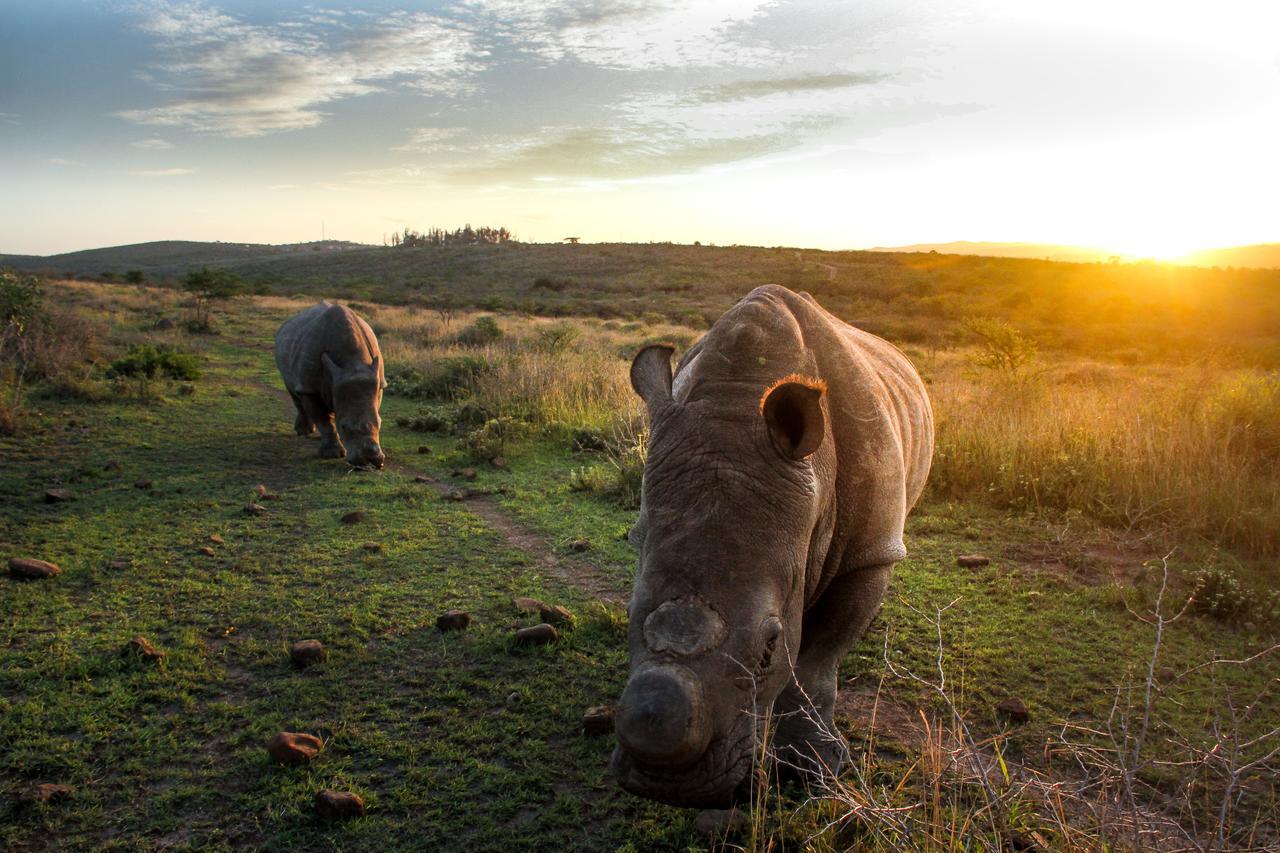 Thula Thula Exclusive Private Game Reserve & Lodge Ntambanana Екстер'єр фото