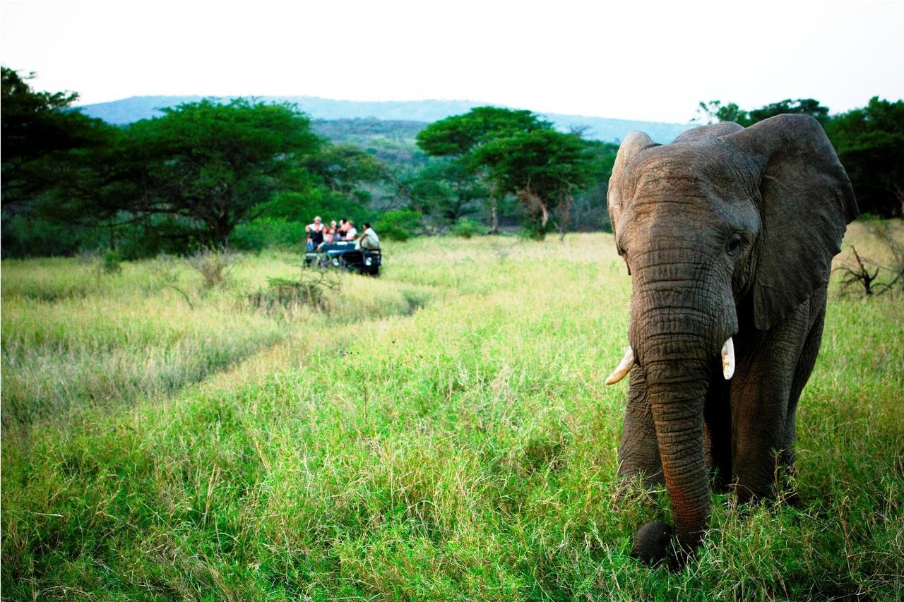 Thula Thula Exclusive Private Game Reserve & Lodge Ntambanana Екстер'єр фото