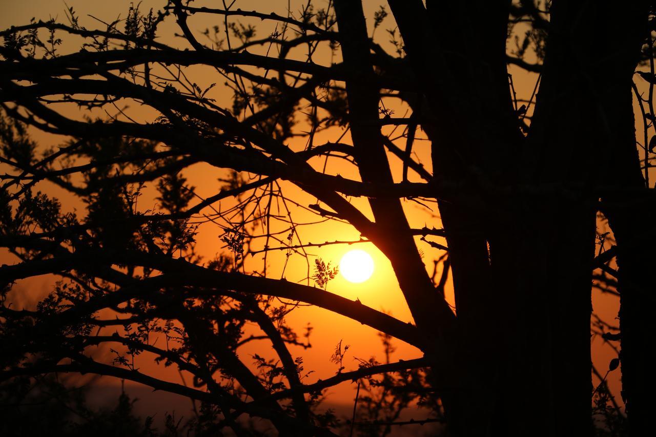 Thula Thula Exclusive Private Game Reserve & Lodge Ntambanana Екстер'єр фото